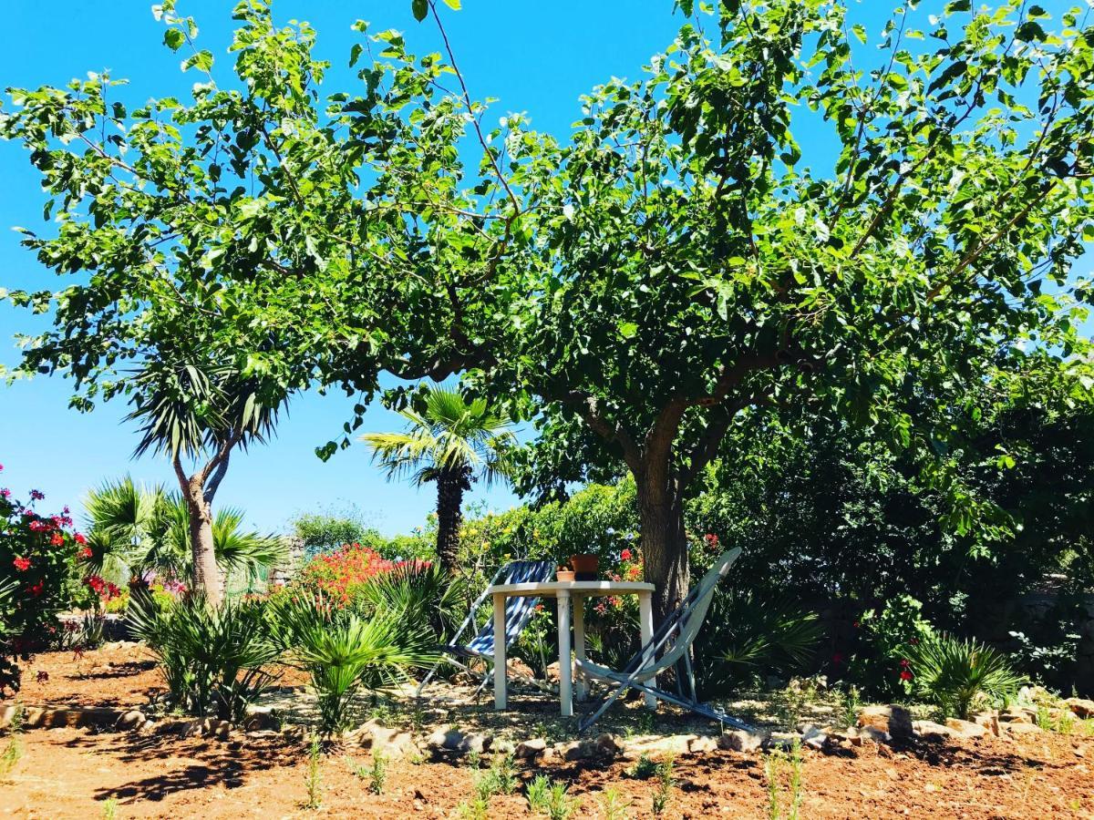 Villetta Castiglione San Vito Lo Capo Eksteriør billede