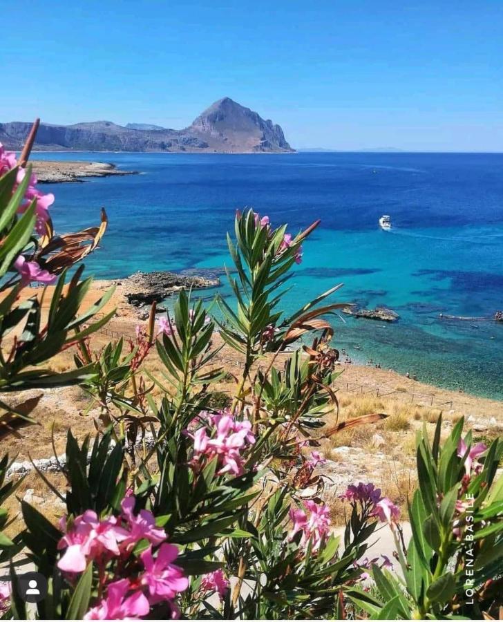 Villetta Castiglione San Vito Lo Capo Eksteriør billede
